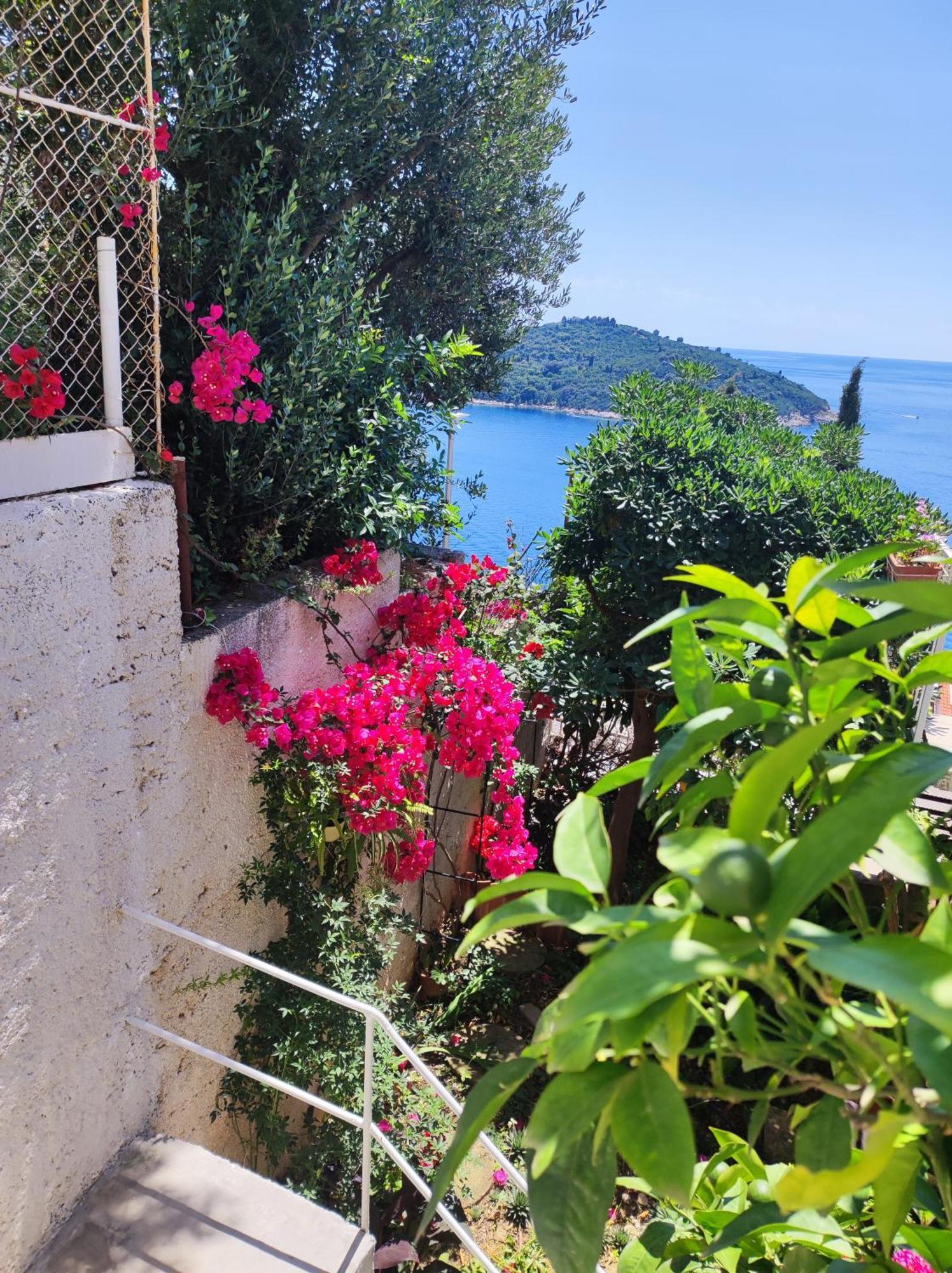 Agneza Dubrovnik